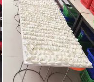 冬至來臨，公司員工一起來包＂扁食＂